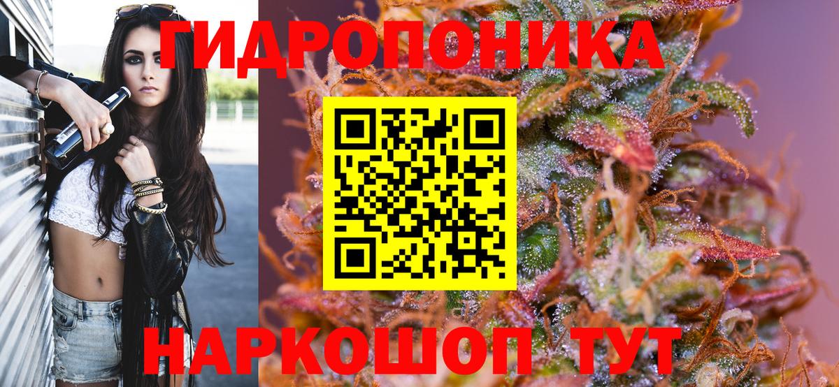 Шишки марихуана Amnesia  Шишки марихуана план  Марихуана ГИДРОПОН  Вход с VPN  Алексеевка 